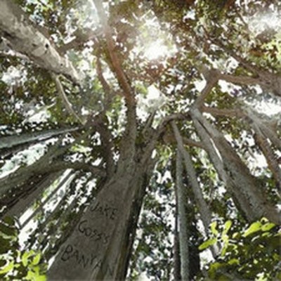 JAKE GOSS'S BANYAN LOOKING UP (CD) ALBUM