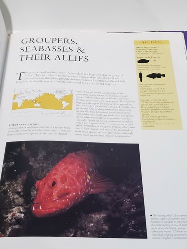 Encyclopedia of Fishes - Picture 4 of 6