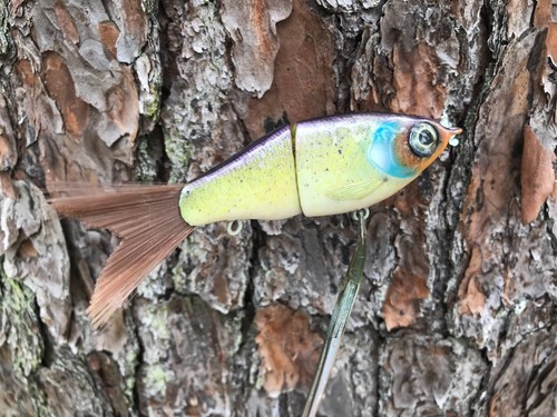 SPEEDBAITS Custom Airbrushed Swimbait - Picture 12 of 14