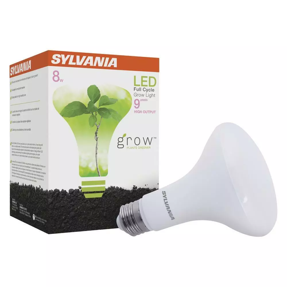 Sylvania indoor online flood light bulbs
