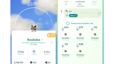  Shiny Rookidee (Schillernd Meikro) Community Day Pokemon GO  Mini PTC