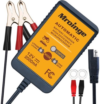 Mroinge MBC022, 12V 2A Lead Acid & Lithium(LiFePO4) 2.0 AMP, Black 