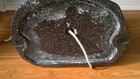 Picture 5 of 7