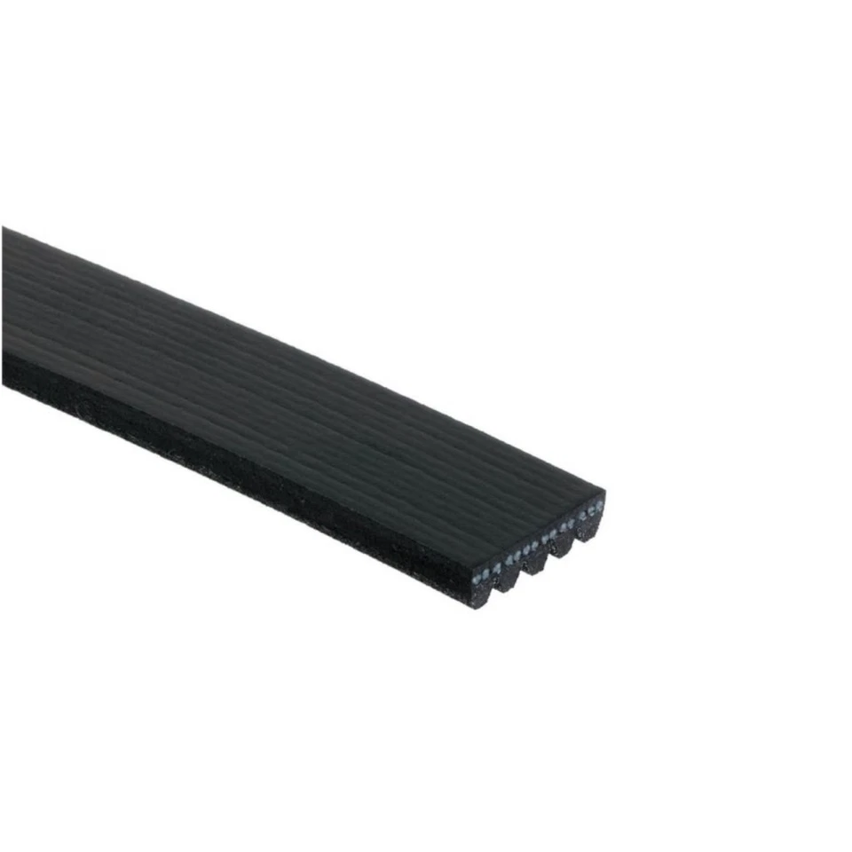 Cinturón serpentino acanalado en V estándar ACDelco genuino para Acura RL 1996-2004 | negro Foto 2 de 4