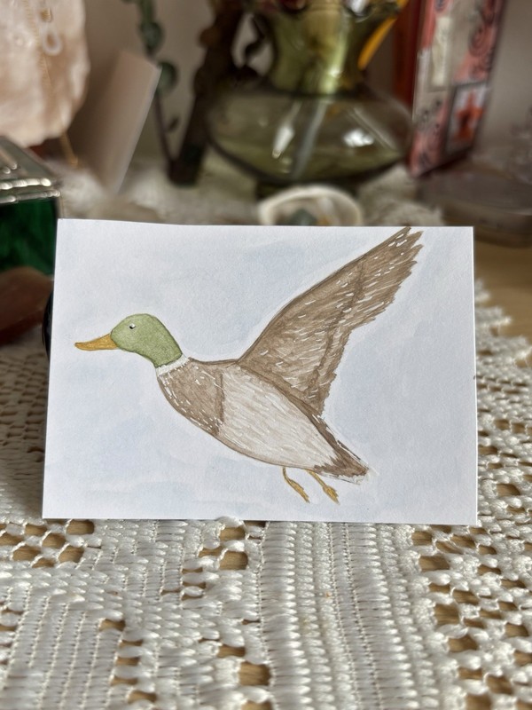 ACEO Original Mallard Duck Watercolor MAILARTMAGIC