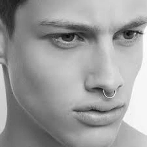 Titanium Seamless Segment Clicker Septum Nose Ring Piercing Hoop Hinged Sleepers - Picture 3 of 29