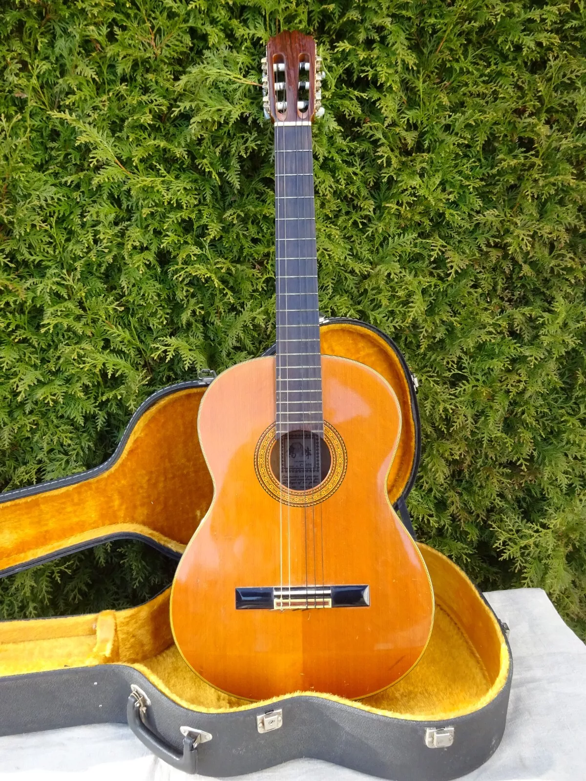 Picture 2 of 11