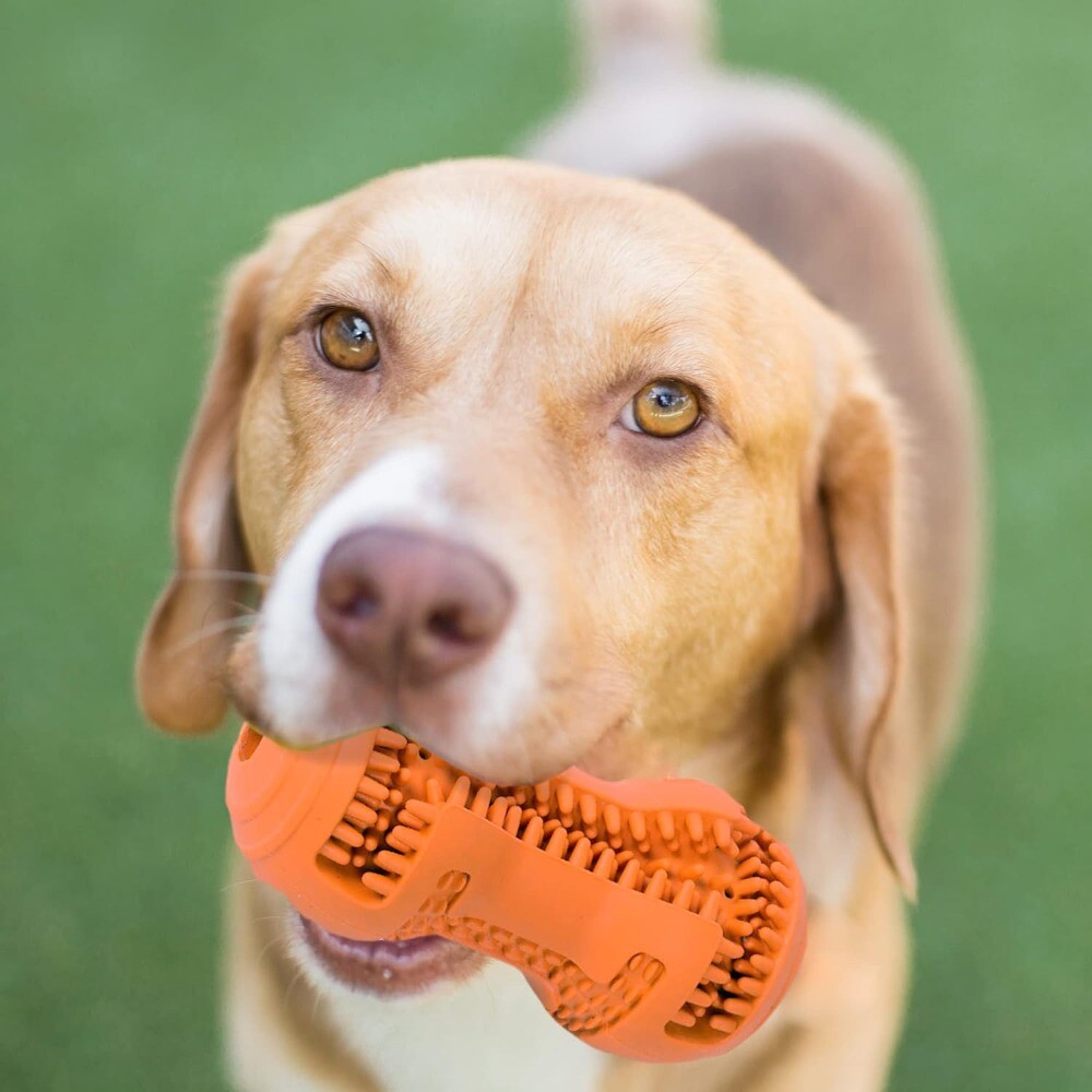 Puzzle Dental Teeth Cleaning Interactive Dog Toys Medium/Large Dogs eBay