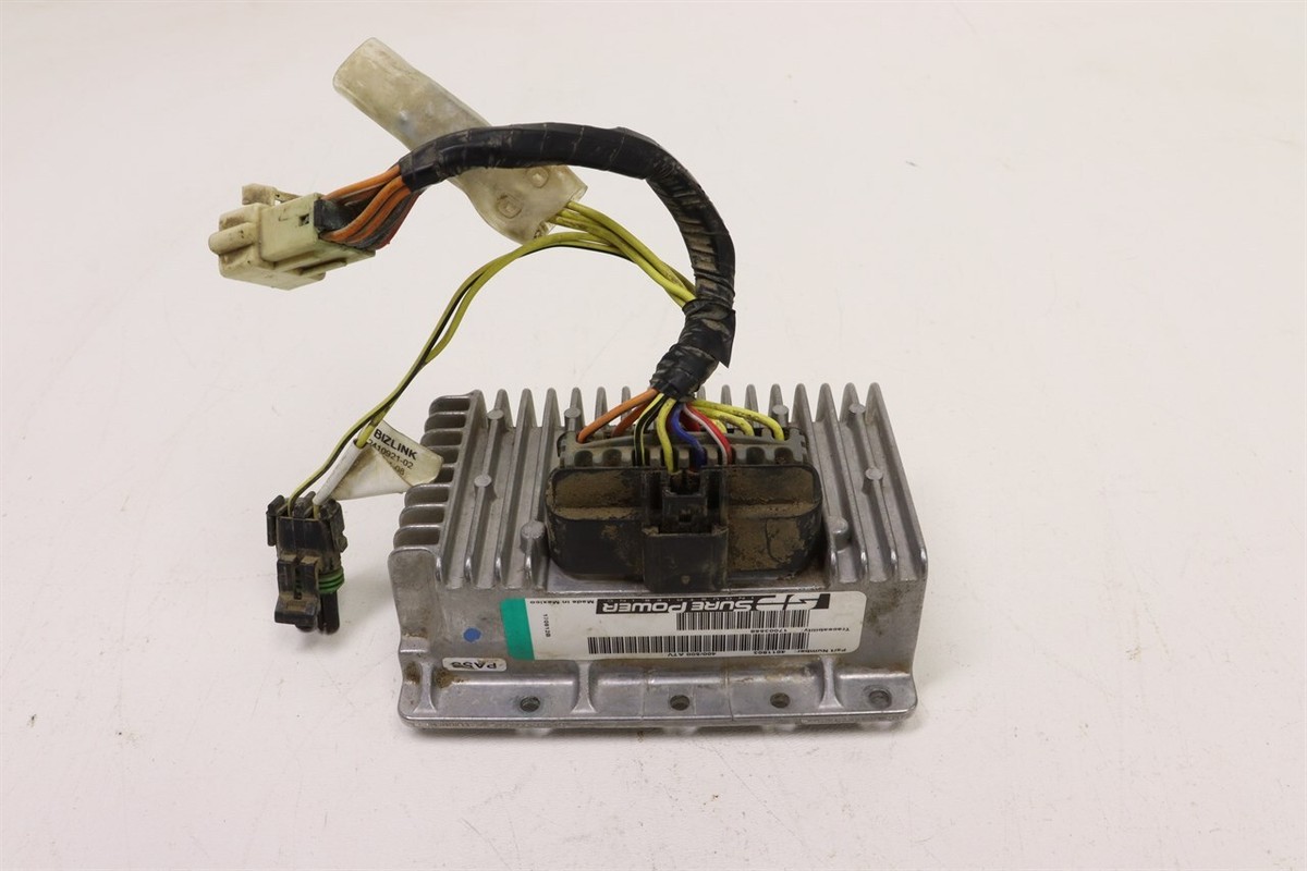 【すみれ】 The Spezia Medium Women's Sunglasses in Green | Jimmy Fairly US