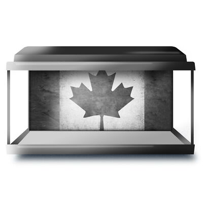 aquarium backgrounds canada