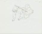 The Twelve Kingdoms Juuni Kokki Genga Douga Original Sketches Pierrot - Youko — photo 2