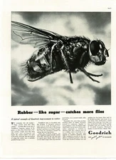1937 B F Goodrich helps Tanglefoot Fly Paper housefly Vintage Print Ad
