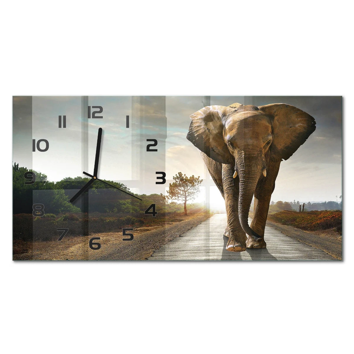 Reloj de Pared Rectangular Vidrio Templado Premium Elefante Caminando 60x30 cm
