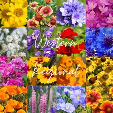 Western U.S. Regional Wildflower Mix, 1 lb Covers 3,200 sq ft, Multi-Color Bl... 41.70 per gallon