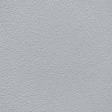 Toyota Light Gray Leather Dye
