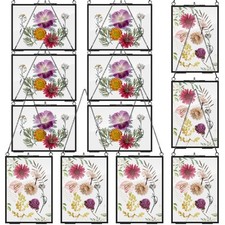 12 Pack Pressed Flowers Glass Frames, 5 x 7 Inch Brass Hanging Floating Frame...