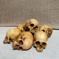 Human Skull Replica 1:12 Scale (hand Painted) Dolls House Miniatures Accessories