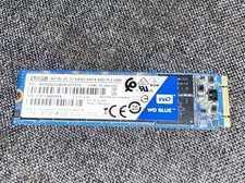Western Digital WD Blue 250GB M.2 2280 3D NAND SSD WDS250G2B0B-00YS70