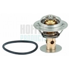 Thermostat Jaguar E