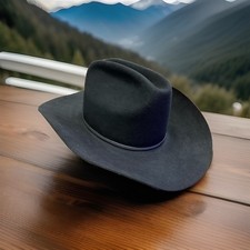 Stetson Hats Size 7 1/8 for Men for sale | eBay