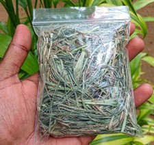 Té de hierbas de Ceilán Miracle Grass seco paragis hierba Eleusine Indica 50 g a 600 g