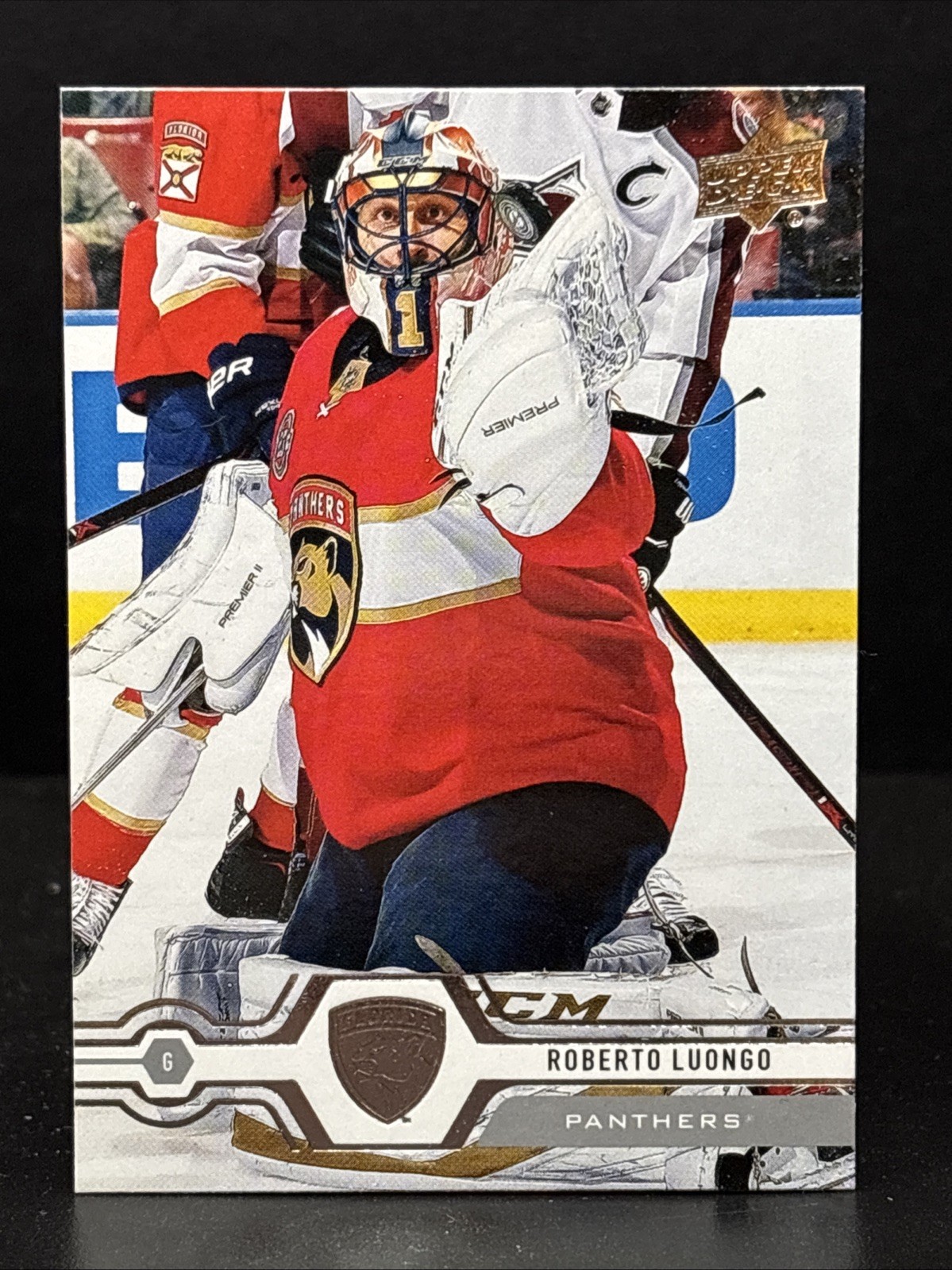 2019-20 Upper Deck Series 1 Base #45 Roberto Luongo - Florida Panthers