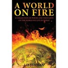 A World on Fire by J D Seaman (Paperback / softback, 2013)