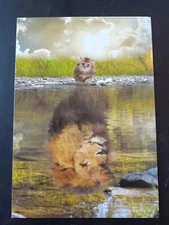 Funny Encouragement Card 