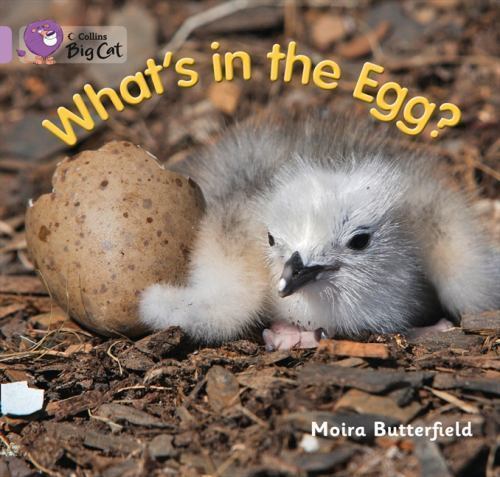 Collins Big Cat Ser.: What's in the Egg? : Band 00/Lilac by Moira Butterfield...