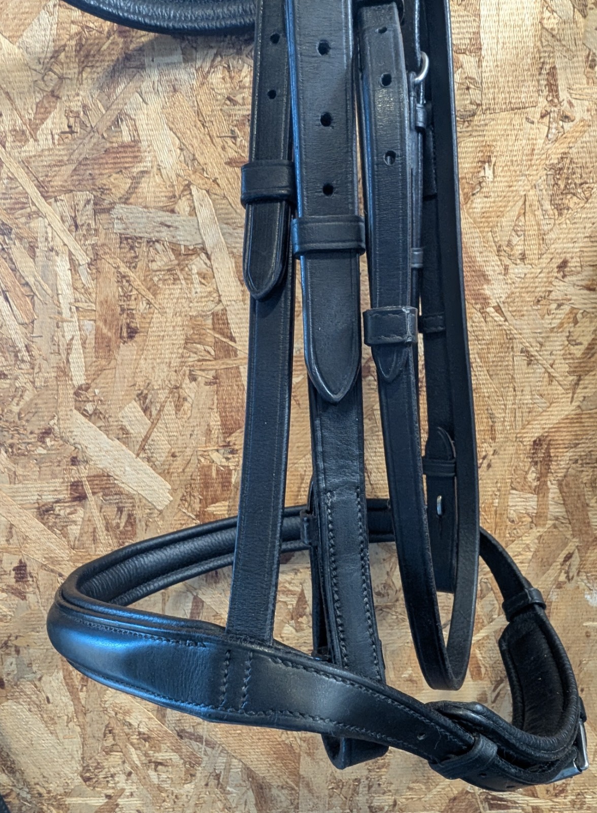 VESPUCCI Classic Padded Dressage Bridle $318