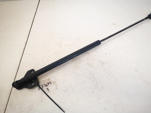 3m51r406a10ab Gasdruckfeder Motorhaube 3m51-r406a10-ab Ford C-MAX DE1585363-80