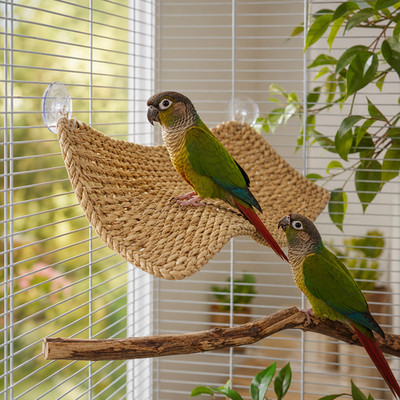 Vogelkäfig Hängematte, Pflanzenfaser Haustierkäfig Zubehör für Sittichkäfig