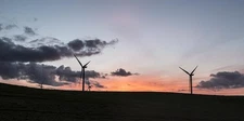 A wind farm off California Rt. 12 near Rio Vista in Solano County,California 4