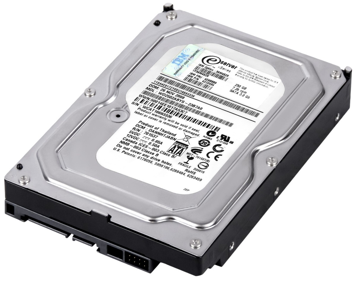 ICS FACTORY   B•DRIVE CS ver.s Hard Drive IBM 40K6889 42C0484 WD2502ABYS-23B7A0 250GB 7.2K 16MB