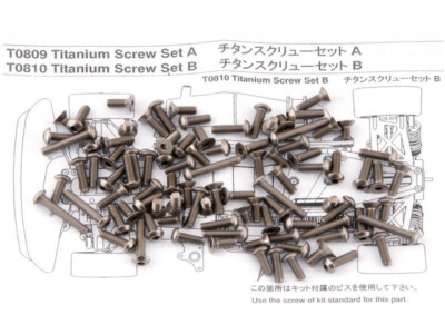 Vintage Mugen Seiki T0809 MTX4 MTX4R Titanium Screw Bag-A Set RARE