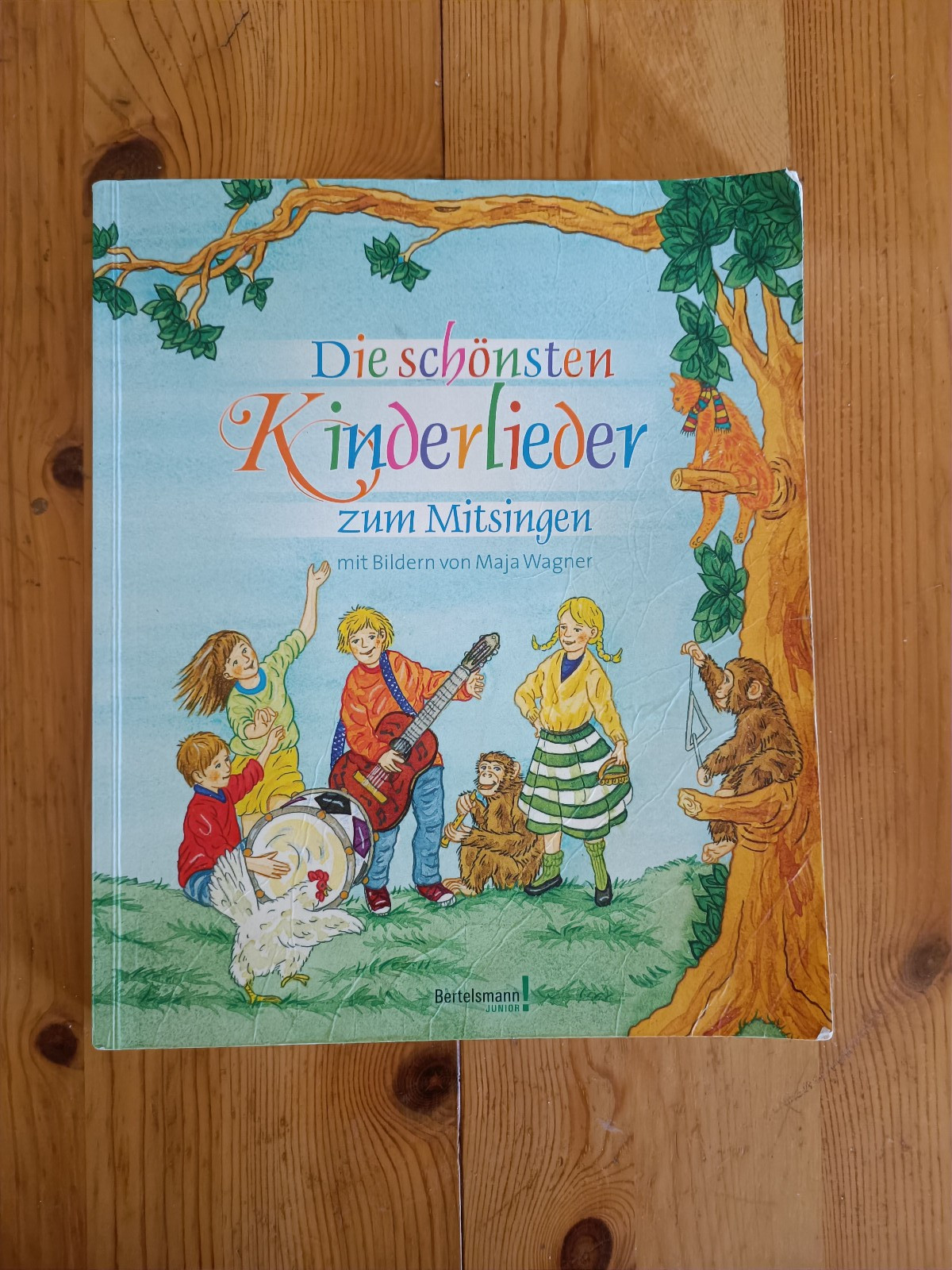 TING Buch Die schönsten Kinderlieder zum Mitsingen mit Bildern von Maja Wagner