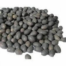 11 Pcs KAMAL GUTTA GATTA LOTUS SEEDS NELUMBO NUCIFERA For Goddess Laxmi - F/S