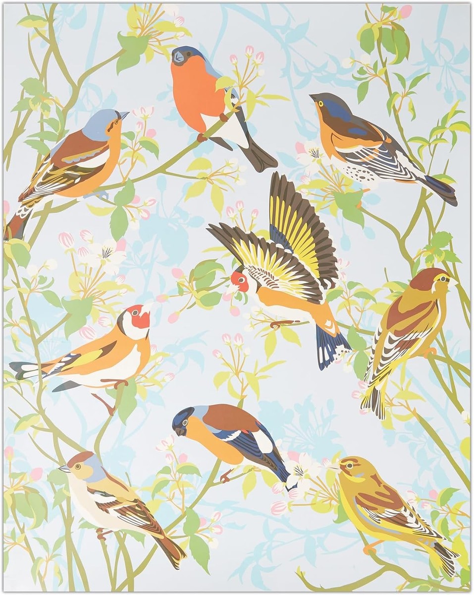 アート・デザイン・音楽 CLASSIC NATURAL HISTORY PRINTS BIRDS Natural History Museum Paint By Numbers 50cm x 40cm - Garden Birds