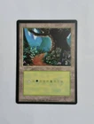 1 0 x MTG T-Chinese 4E BB Forest --- N/M
