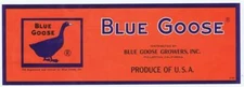 Blue Goose Fullerton California  Fruit Crate Label lg WHOLESALE LOT OF 25 LABELS