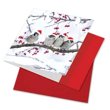 CQ5030AXSG Jumbo Merry Christmas Greeting Card: Christmas for the Birds
