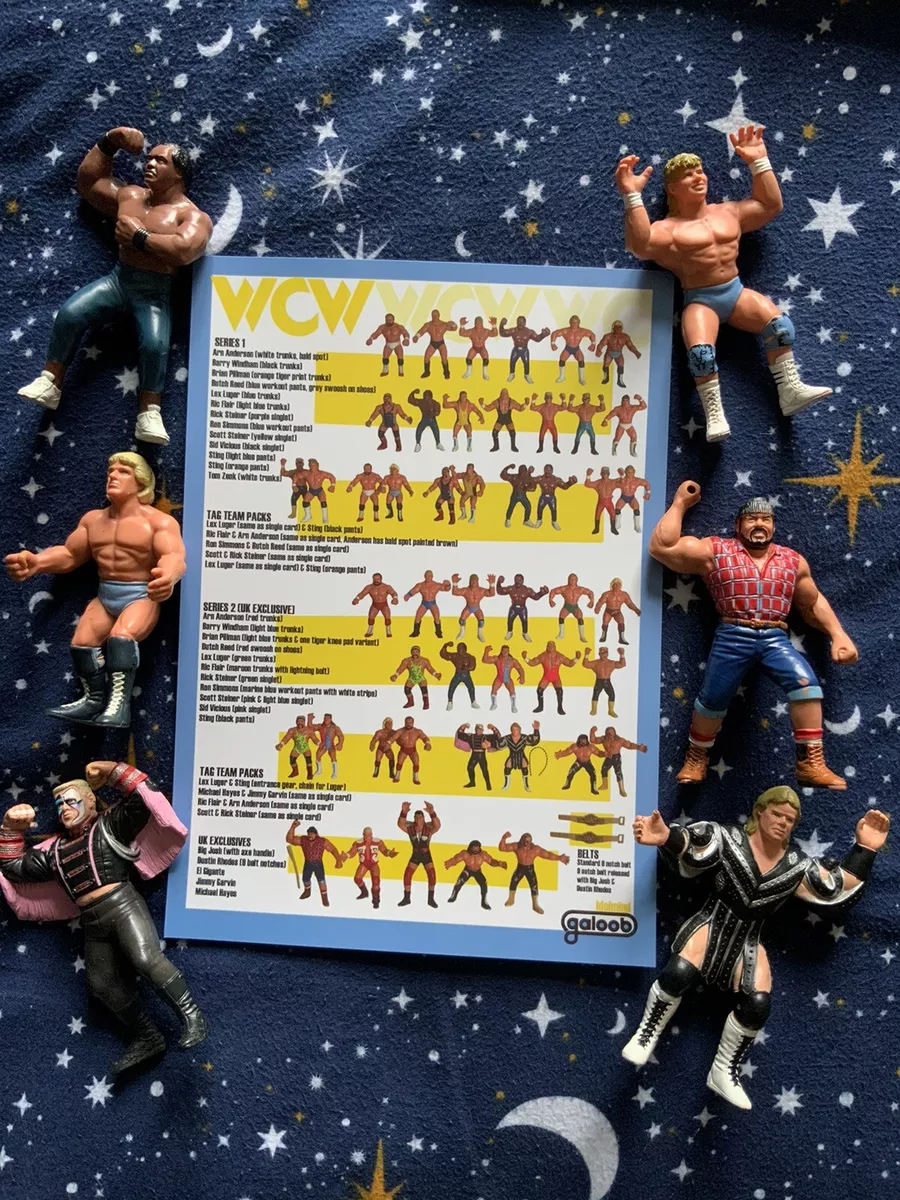 Wcw galoob figures sales