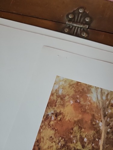 The Look of a Thoroughbred 8 Vntg Horse Prints C.W. Anderson Portfolio Man O War - Picture 16 of 24