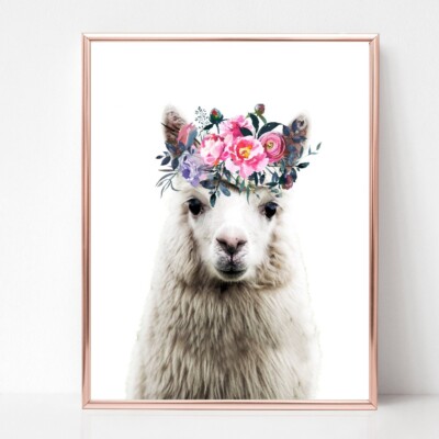 Llama Print Picture Flower Garland Alpaca Wall Art A4 Unframed 22 Ebay
