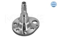 Achszapfen AchsköRper Hinterachse Links FüR Seat VW Arosa Cordoba Vario Ibiza