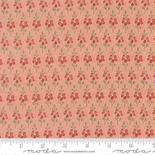 Fleur de Paris Pale Rose Checks Plaids by French General Moda 1/2 Yd 13997 16
