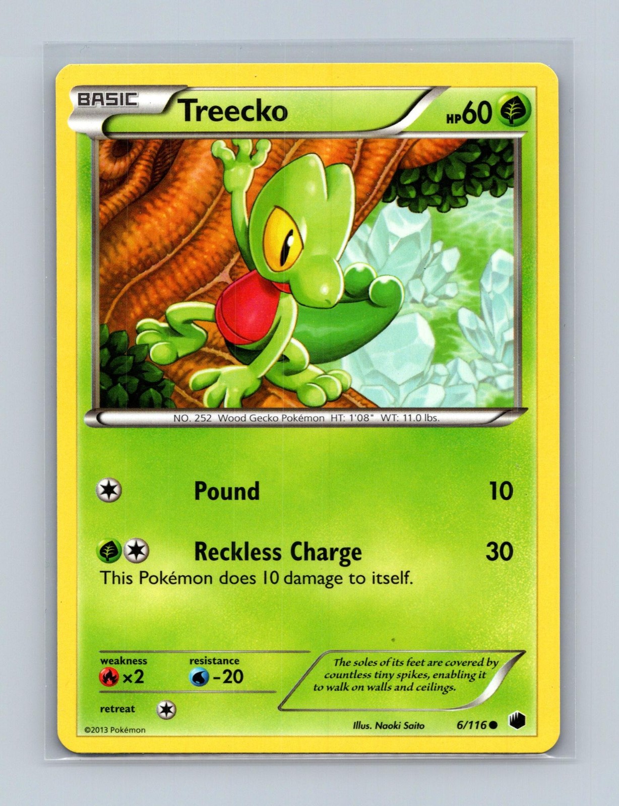 Treecko 6/116 Common Plasma Freeze Pokemon Lightly Played
