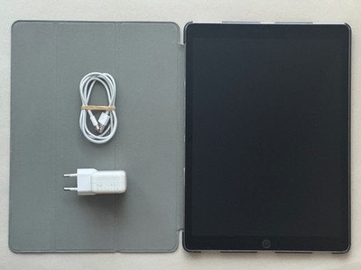 Apple iPad Pro 12,9 , 256GB, 2. Gen., WiFi + 4G, sehr gepflegt