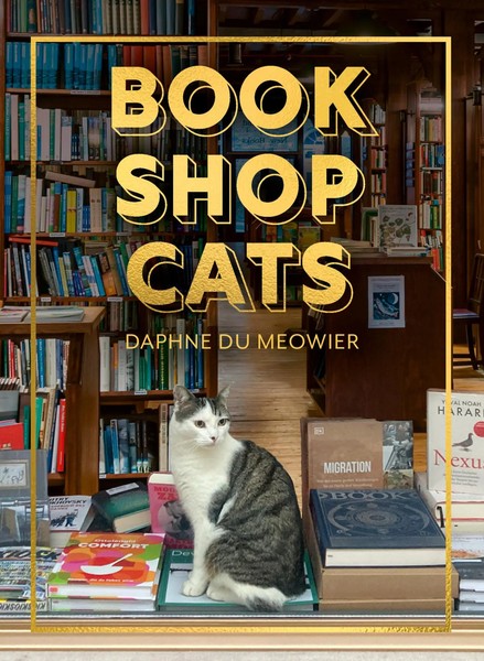 Bookshop Cats Daphne Du Meowier Buch 128 S. Englisch 2026 Ean 9780008710200-image