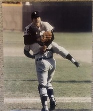 Mickey Lolich And Bill Freehan  1968 Detroit Tigers  11x14 World Series Photo